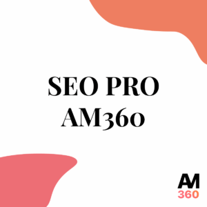 AM360 SEO
